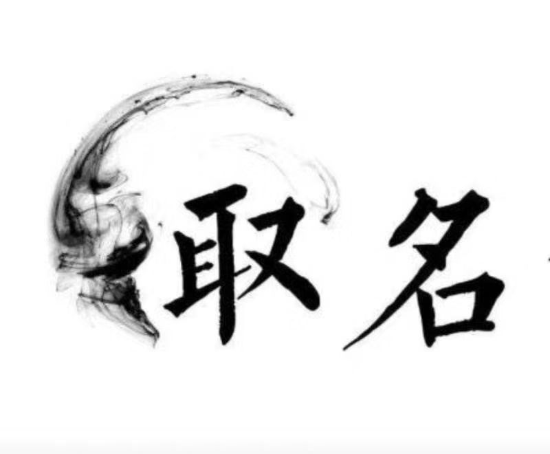  商洛市宝宝取名 大师一对一人工起名